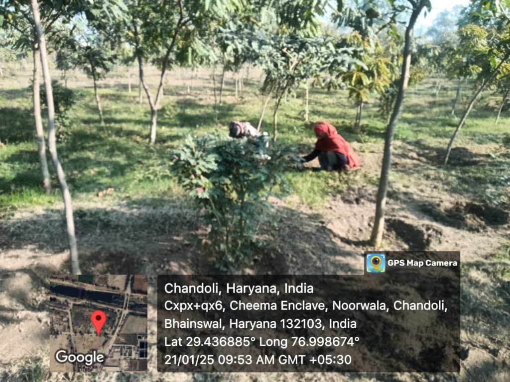 whatsapp image 2026 07 12 at 7.50.03 pm (1)