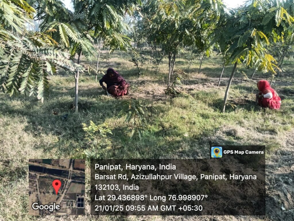 whatsapp image 2026 07 12 at 7.50.03 pm (2)