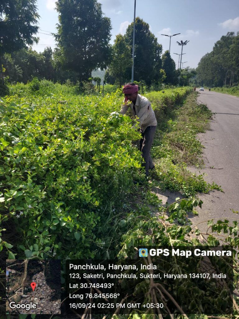 whatsapp image 2026 07 12 at 7.50.05 pm (3)