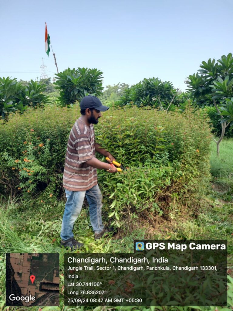 whatsapp image 2026 07 12 at 7.50.06 pm (1)