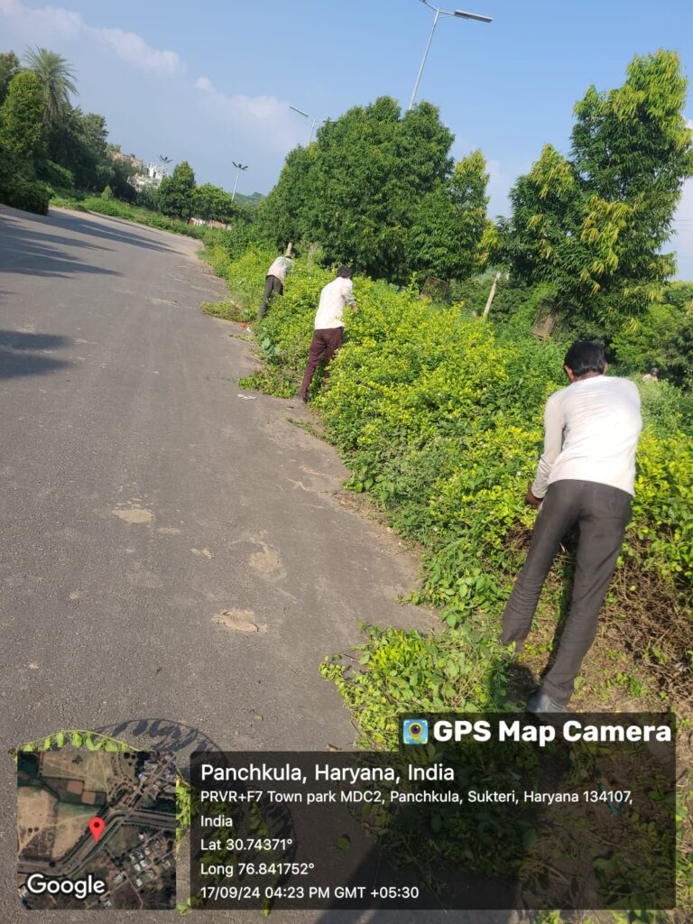 whatsapp image 2026 07 12 at 7.50.06 pm (2)