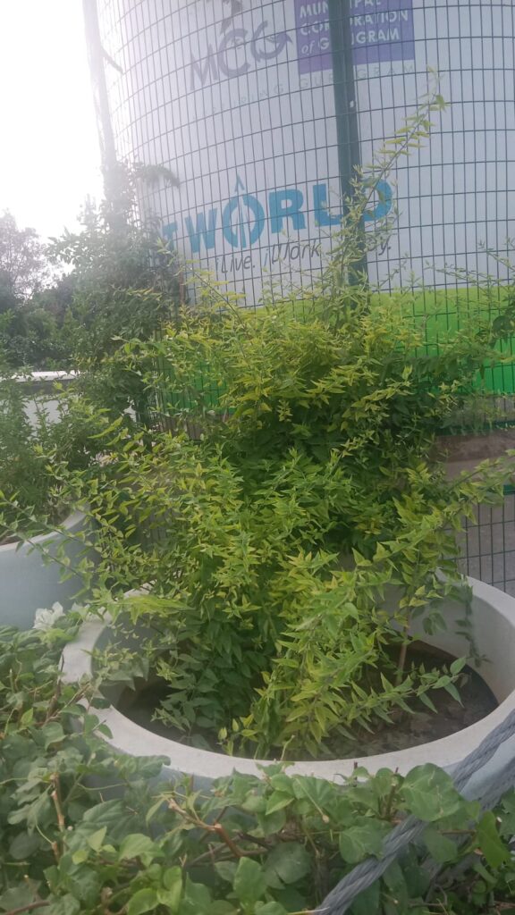 whatsapp image 2026 07 12 at 7.50.06 pm (3)